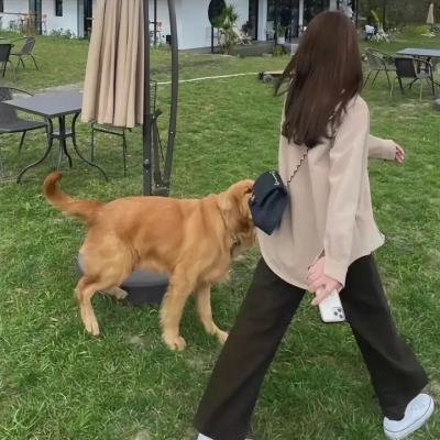 家不成家—我生于巴勒斯坦