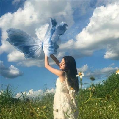 瓦尼塔斯的不死笔记